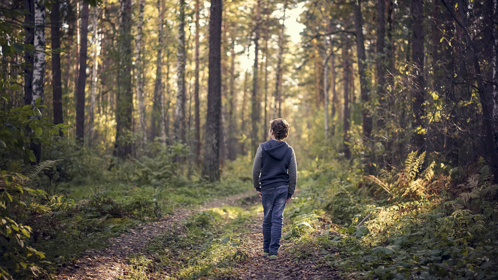 boy walking through the forest